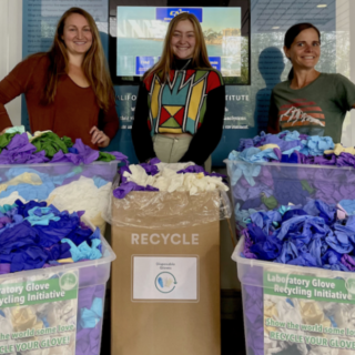 program team with gloves in recycling boxes